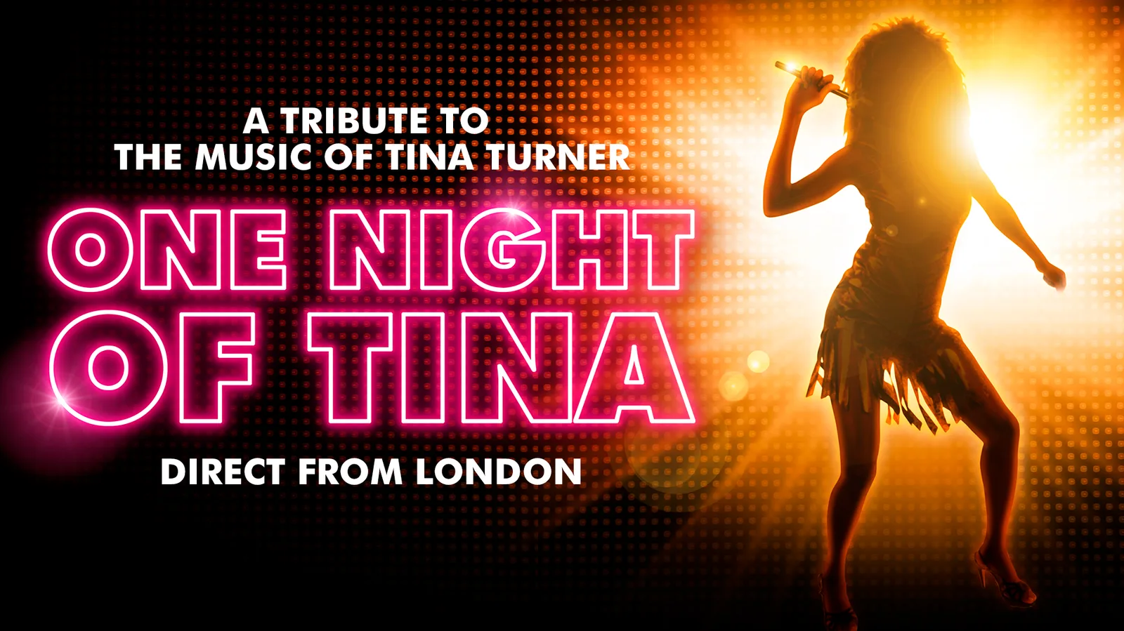 One Night of Tina: A Tina Turner Tribute Show