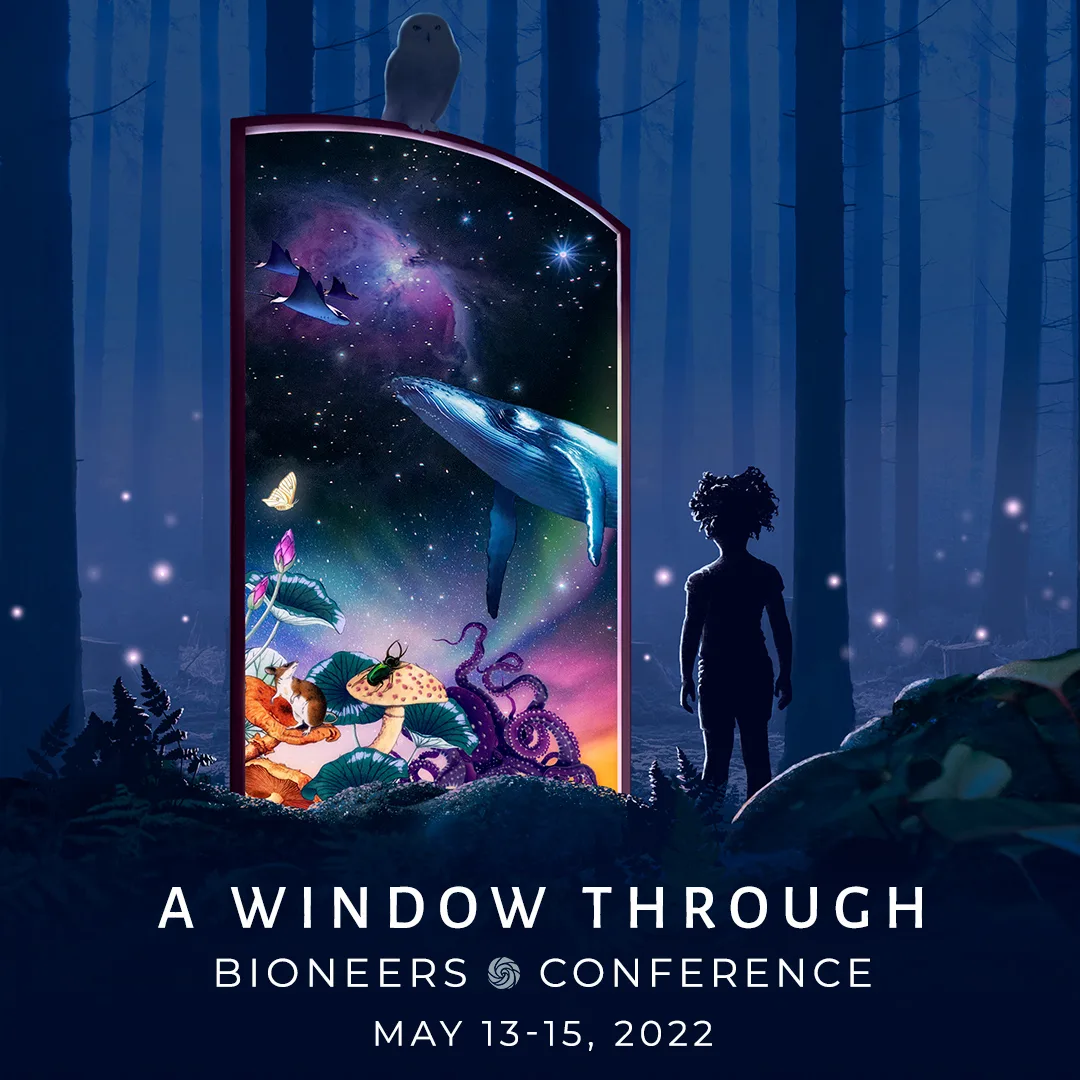 A Window Through - Bioneers Conference